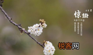 惊蛰是什么意思怎么读 惊蛰拼音和含义