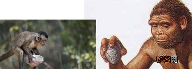 有人说美国动手俄罗斯连一个月都坚持不了,俄罗斯真有那么弱吗？