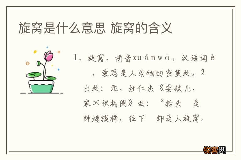 旋窝是什么意思 旋窝的含义