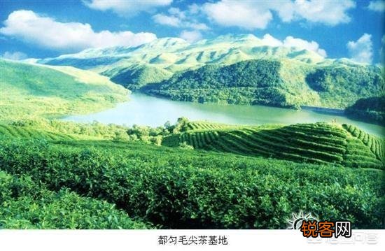 如何写广告推广方案？