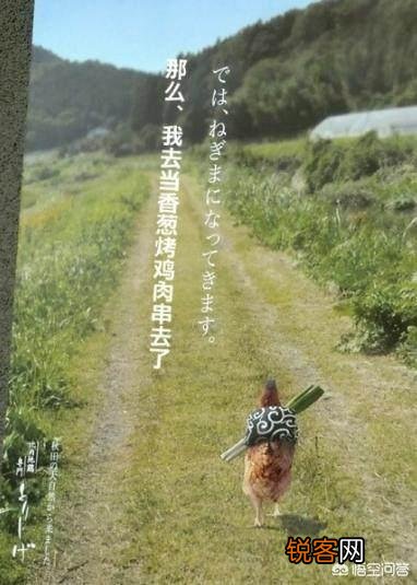 如何学习文案策划？