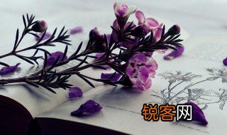 才高意广的意思 才高意广的解释