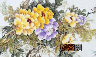 洛阳著名牡丹十大画家 牡丹十大画家介绍