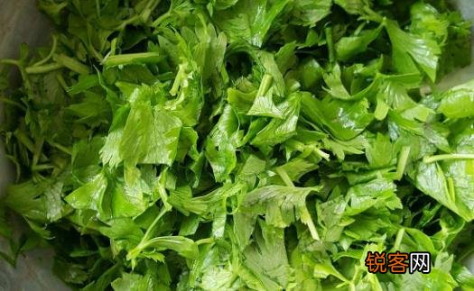 7种食物“废料”营养堪比补品 男人可多吃