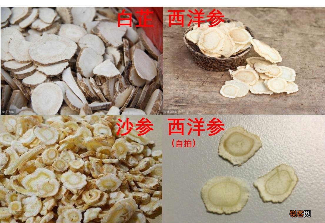 好西洋参怎么挑选 教你轻松鉴定西洋参片的品质