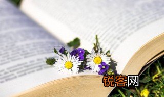 拳头上立得人胳膊上走得马的意思 拳头上立得人胳膊上走得马的解释