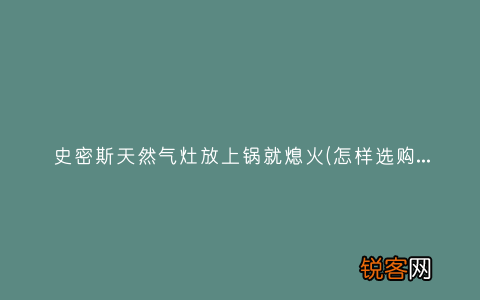 怎样选购天然气灶？ 史密斯天然气灶放上锅就熄火