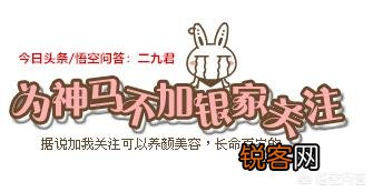 中国境内哪家图书出版社的书最好？