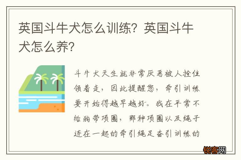 英国斗牛犬怎么训练？英国斗牛犬怎么养？
