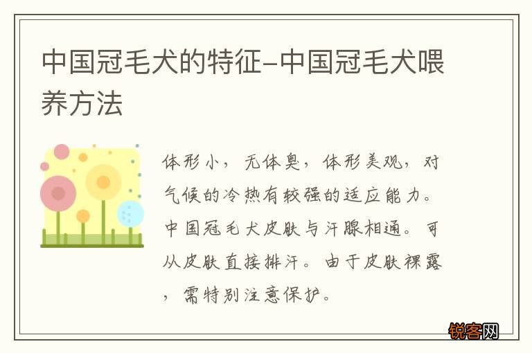 中国冠毛犬的特征-中国冠毛犬喂养方法