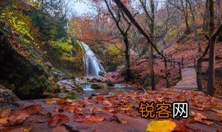 四海飘零什么意思 四海飘零意思