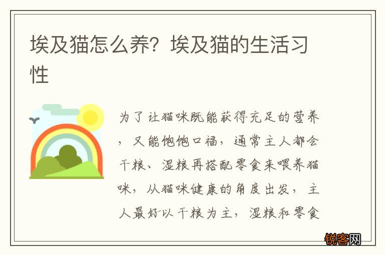 埃及猫怎么养？埃及猫的生活习性