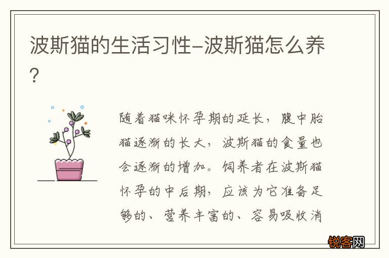 波斯猫的生活习性-波斯猫怎么养？
