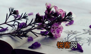 限竞房是什么意思 限竞房解释