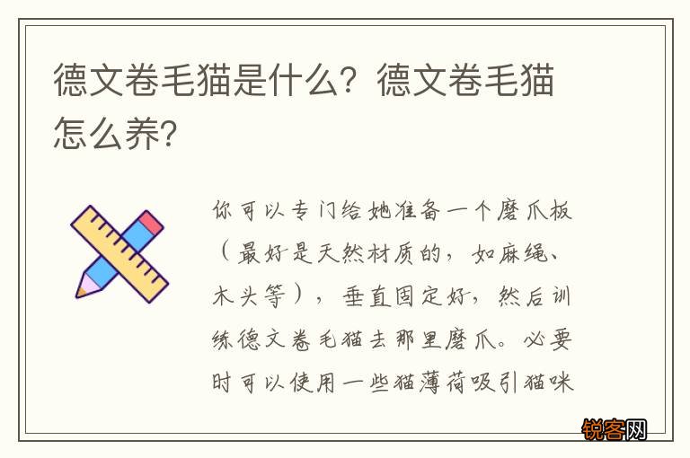 德文卷毛猫是什么？德文卷毛猫怎么养？