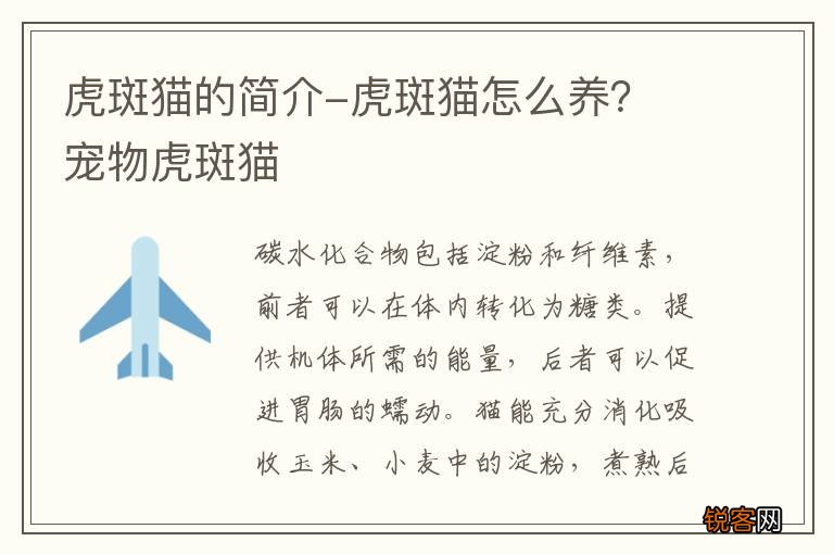 虎斑猫的简介-虎斑猫怎么养？ 宠物虎斑猫