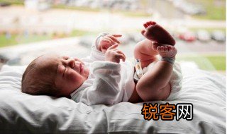 挤奶机怎样用视频教程 挤奶机怎样用