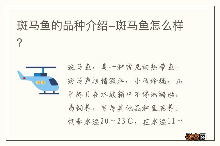 斑马鱼的品种介绍-斑马鱼怎么样？
