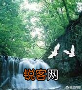 冰心的名言名句有哪些？