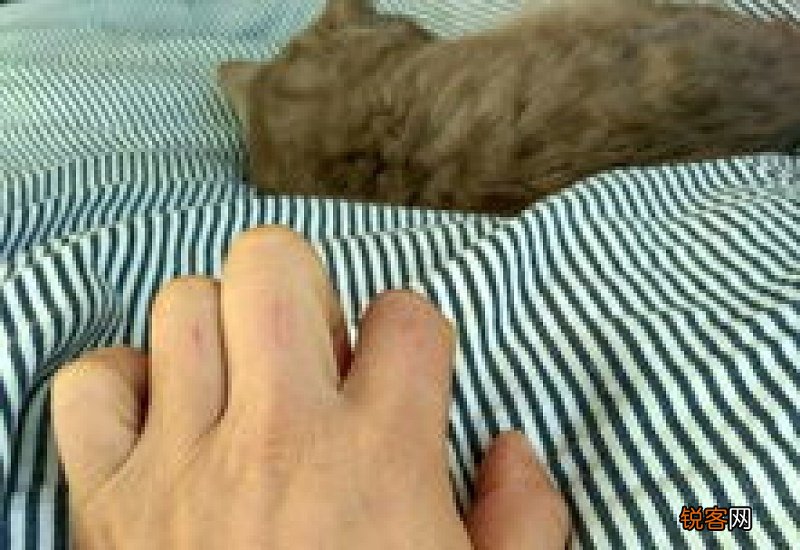 猫爪抓破皮要不要打针