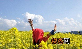 如何学会新昌话 怎样学习浙江新昌地方话