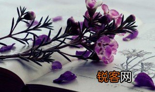 等闲视之什么意思 等闲视之解释