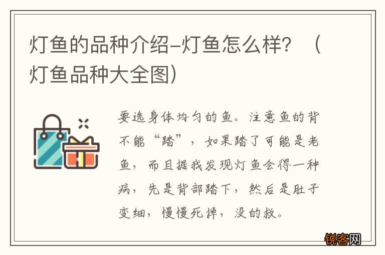 灯鱼品种大全图 灯鱼的品种介绍-灯鱼怎么样？