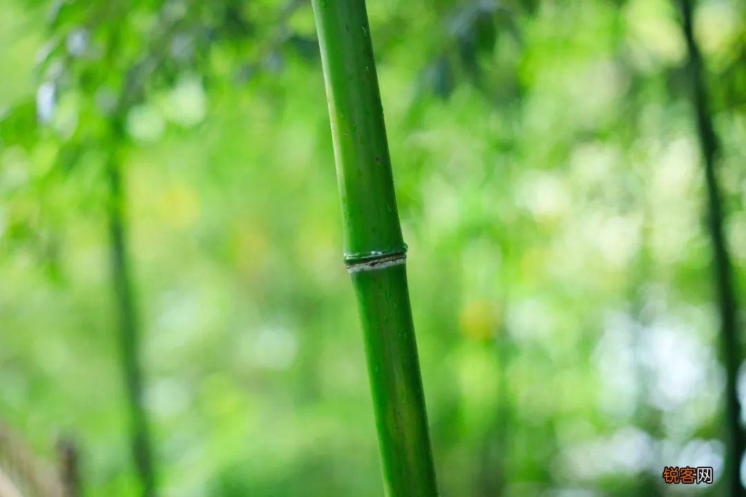 绝妙的对联 精妙绝伦的对联