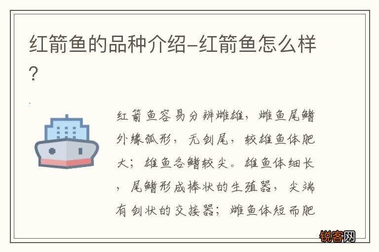 红箭鱼的品种介绍-红箭鱼怎么样？