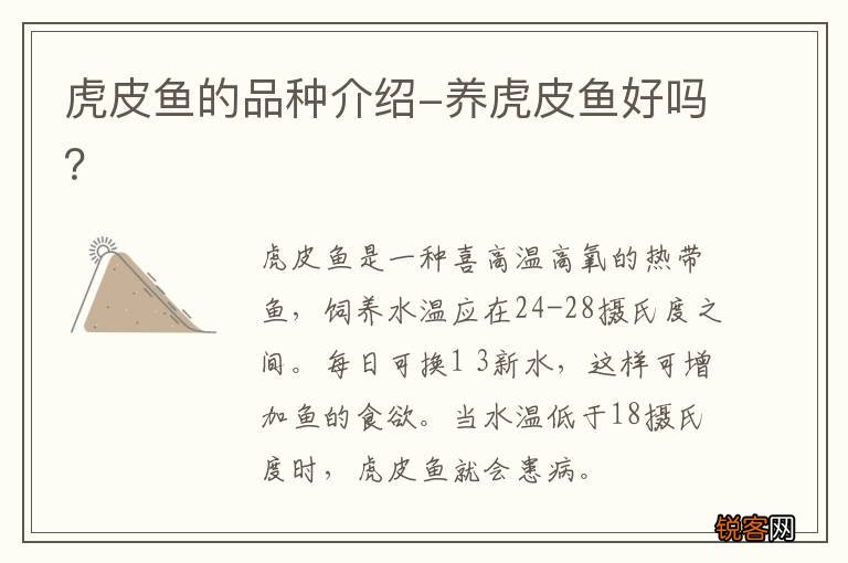 虎皮鱼的品种介绍-养虎皮鱼好吗？