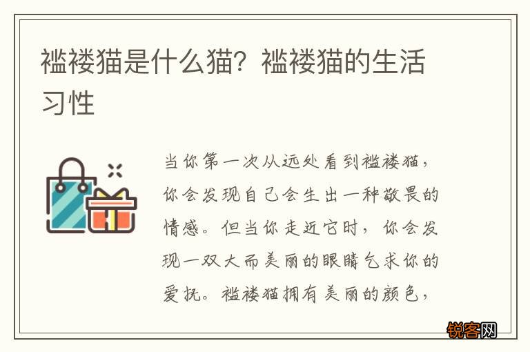 褴褛猫是什么猫？褴褛猫的生活习性