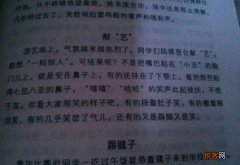 描写人物读书时入迷的段落