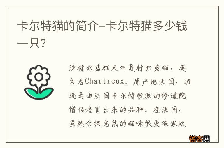 卡尔特猫的简介-卡尔特猫多少钱一只？
