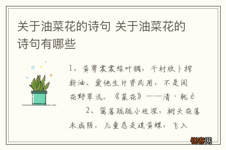 关于油菜花的诗句 关于油菜花的诗句有哪些