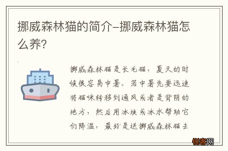 挪威森林猫的简介-挪威森林猫怎么养？