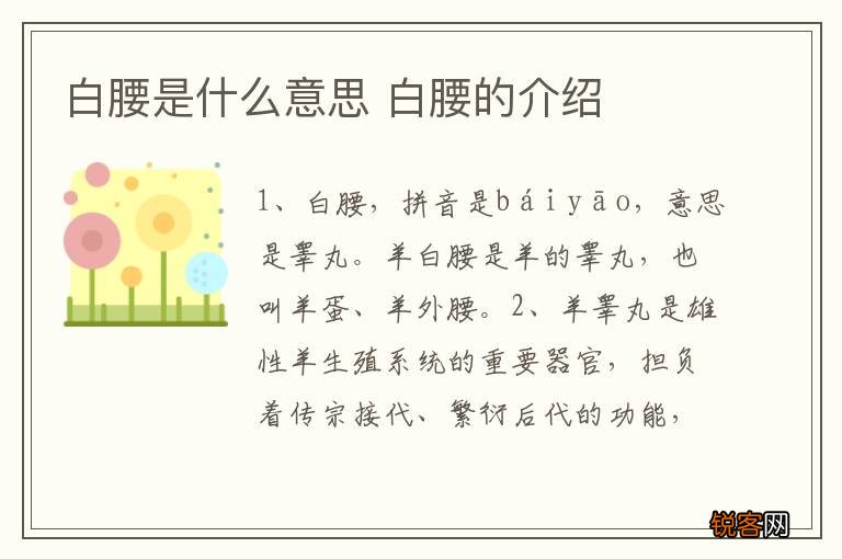 白腰是什么意思 白腰的介绍