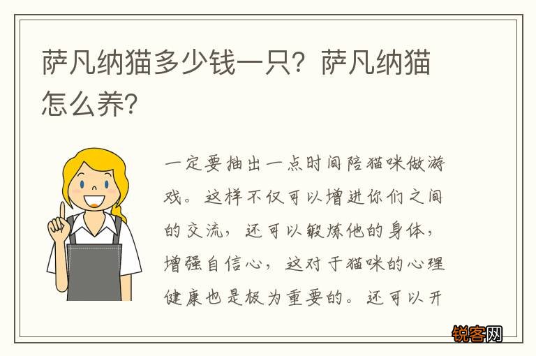 萨凡纳猫多少钱一只？萨凡纳猫怎么养？
