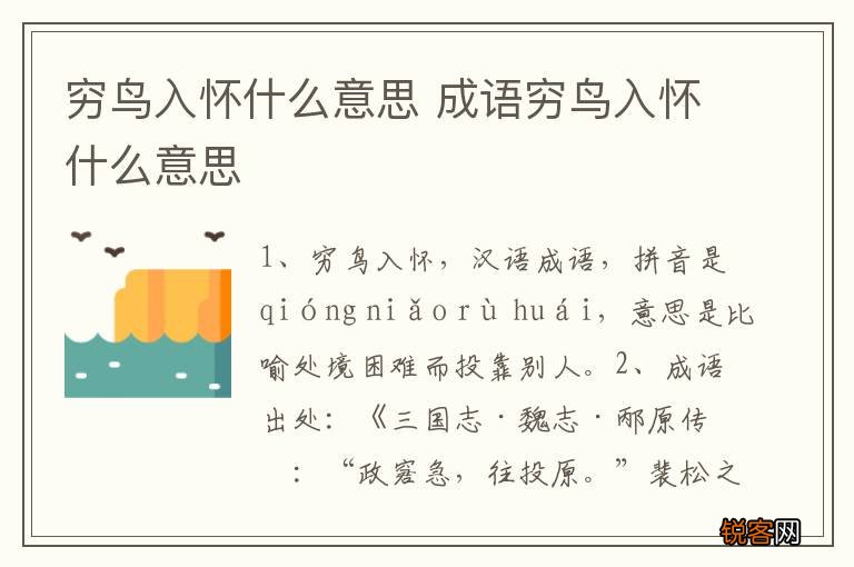 穷鸟入怀什么意思 成语穷鸟入怀什么意思