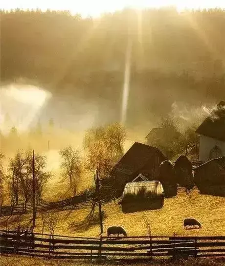 田园生活是什么意思 什么是田园生活