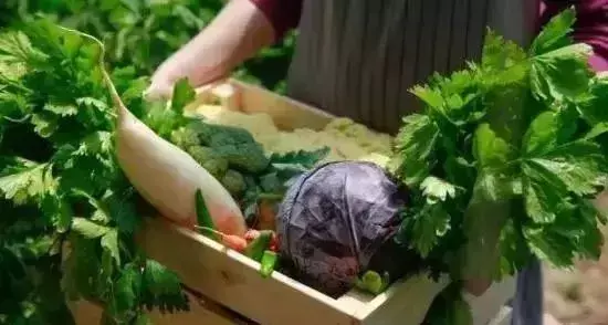 田园生活是什么意思 什么是田园生活