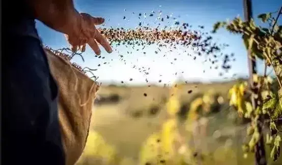 田园生活是什么意思 什么是田园生活