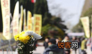 清明节祭祀 清明节祭祀介绍