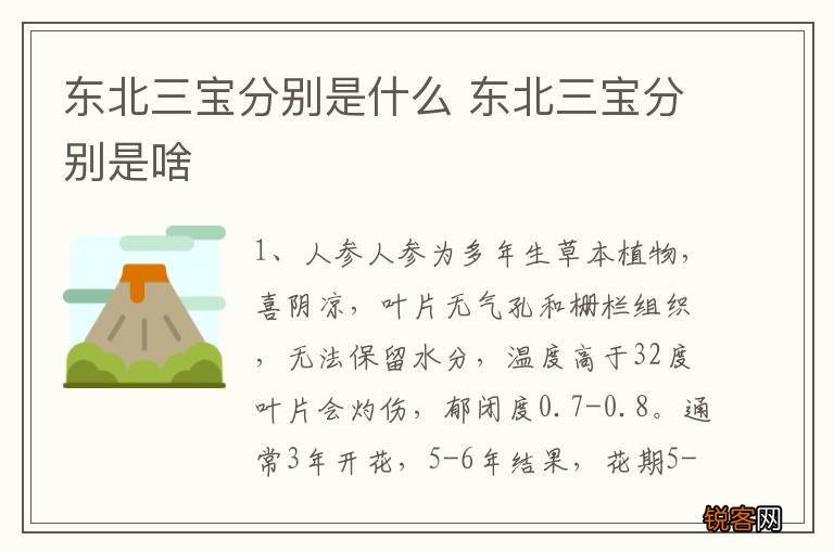 东北三宝分别是什么 东北三宝分别是啥