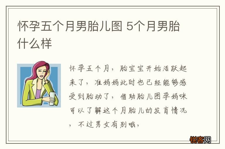 怀孕五个月男胎儿图 5个月男胎什么样