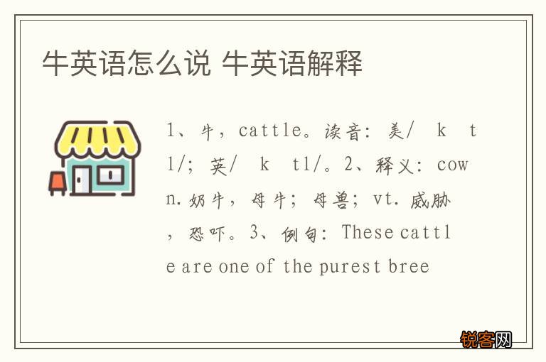 牛英语怎么说 牛英语解释