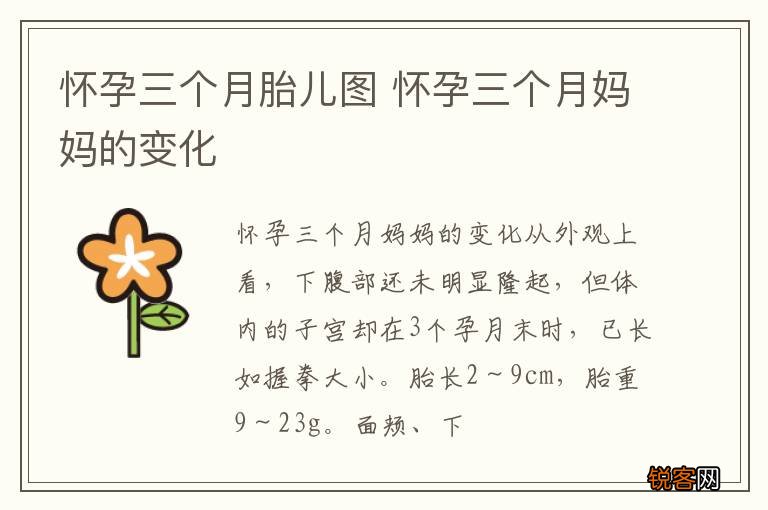 怀孕三个月胎儿图 怀孕三个月妈妈的变化