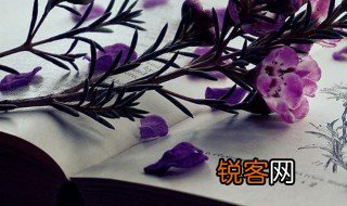 赞美李白的诗句有哪些 关于赞美李白的诗句