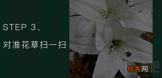 QQ浏览器识你所见怎样玩?QQ浏览器辨认花草方法