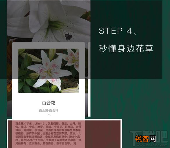 QQ浏览器识你所见怎样玩?QQ浏览器辨认花草方法