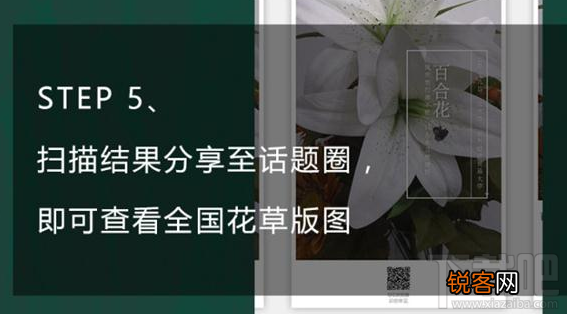 QQ浏览器识你所见怎样玩?QQ浏览器辨认花草方法
